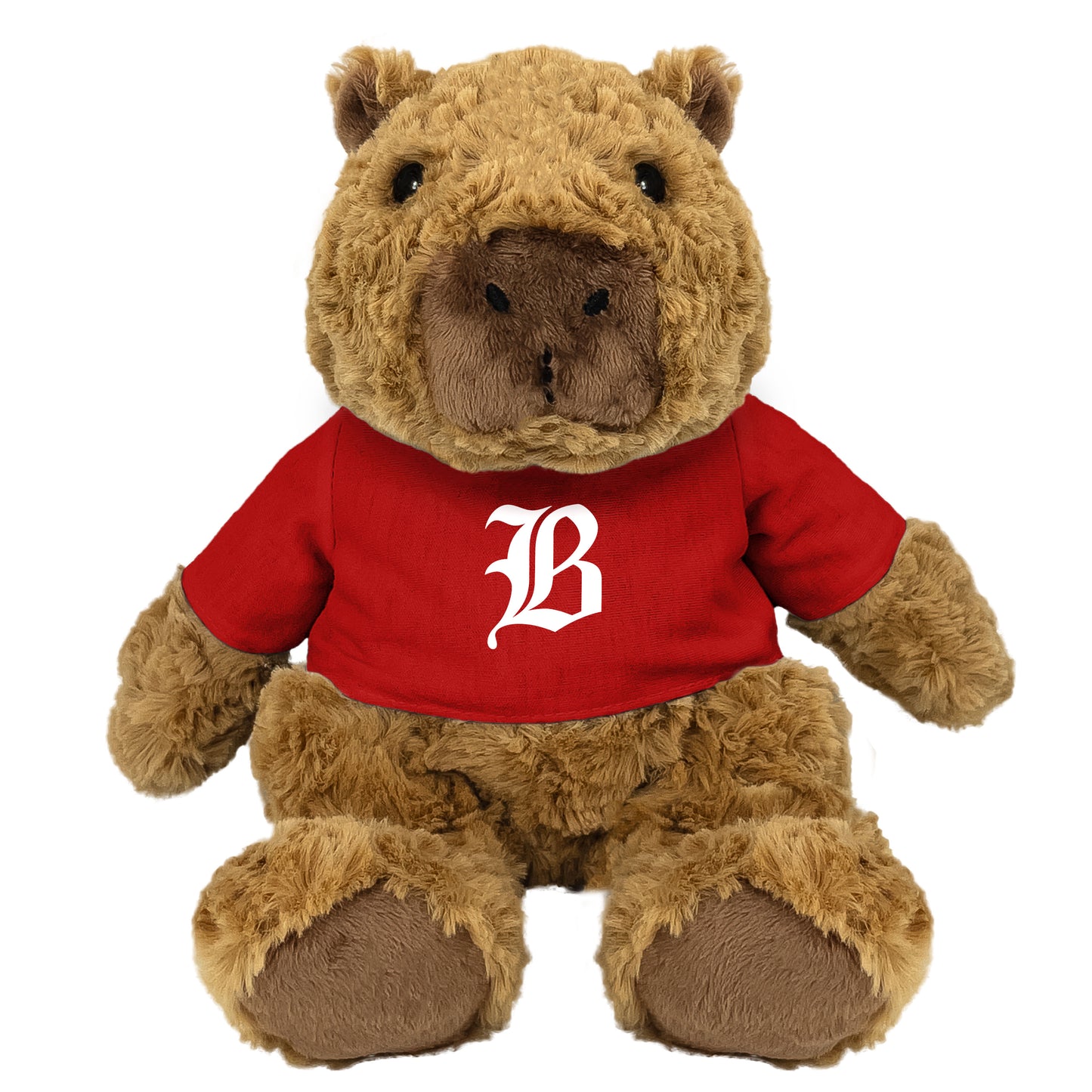 Baylor Groundhog