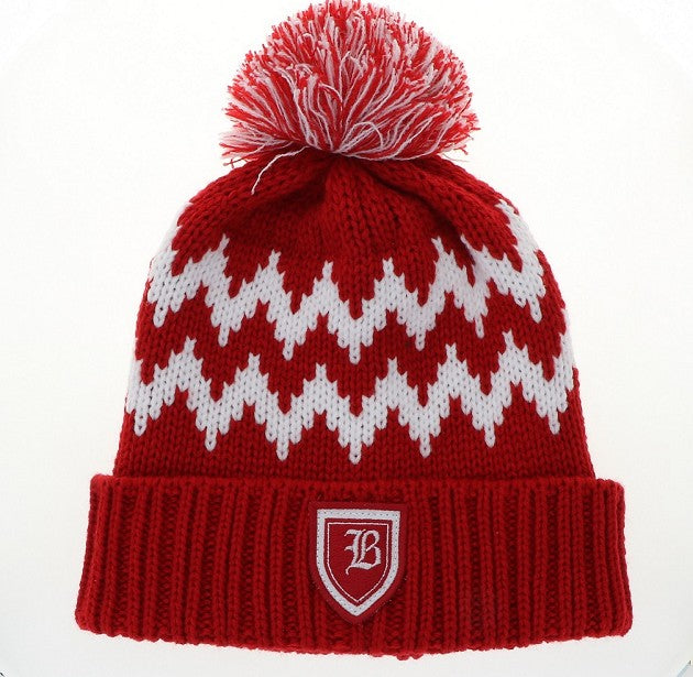 Zigzag Knit Beanie
