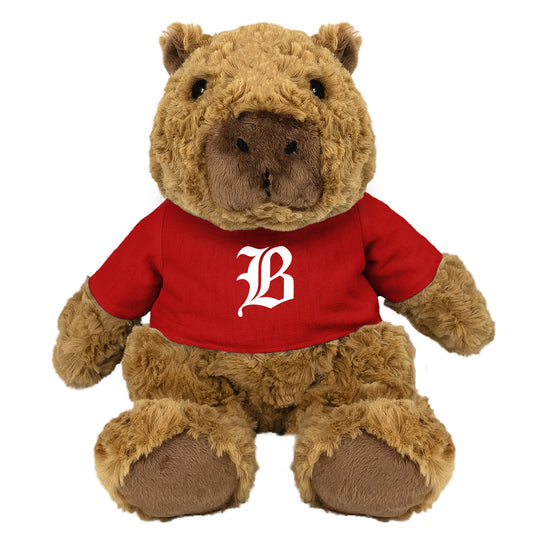 Baylor Groundhog